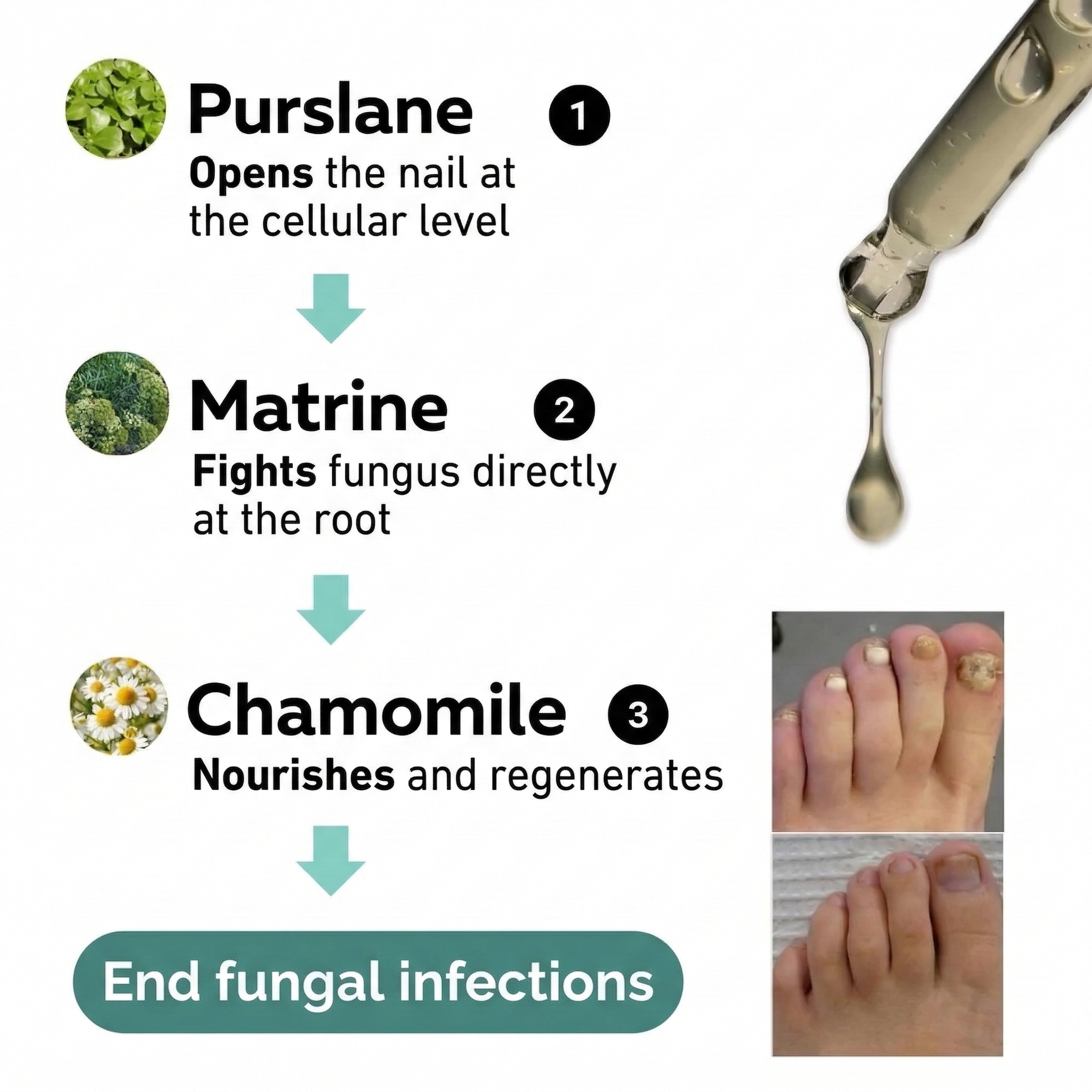 BioShield™ Antimycotic Serum